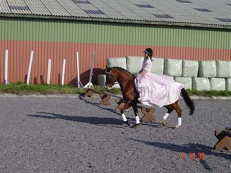 Anden særlig race Supér**SOLGT** - Så rider vi ind . <3 .  billede 16