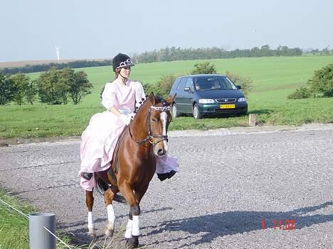 Anden særlig race Supér**SOLGT** - Og vi rider lii Lc 2 billede 17