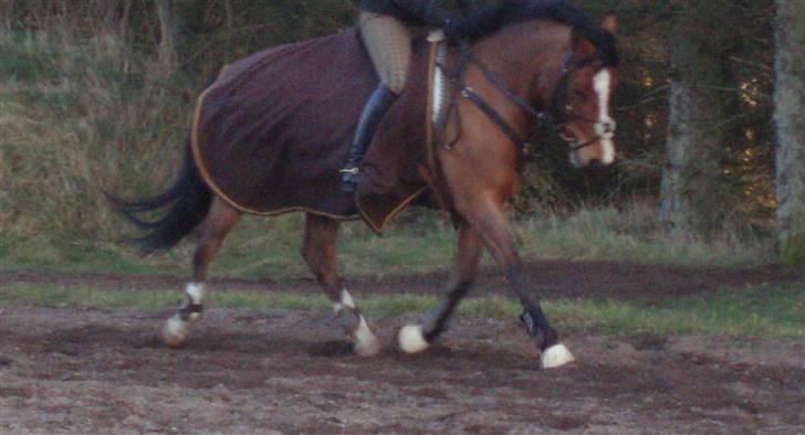 Anden særlig race Supér**SOLGT** - Miin <3  billede 20