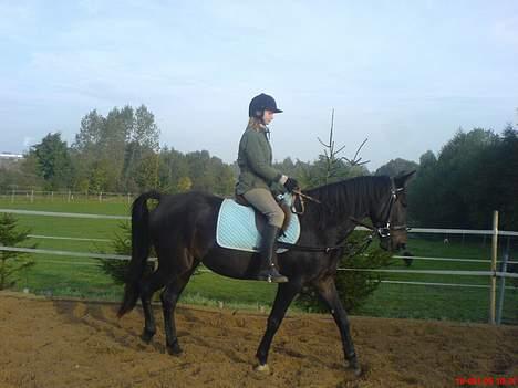 Anden særlig race Tamara  *SOLGT* billede 7