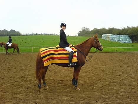 Fuldblod (XX) Dior - stævne billede 12