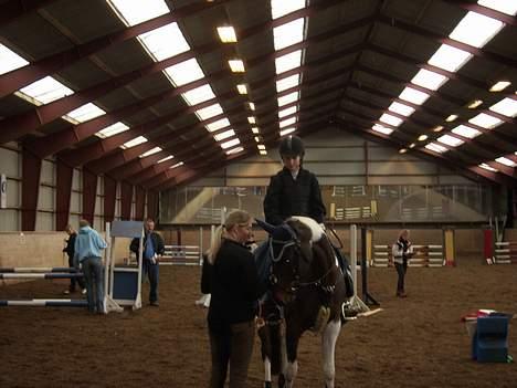 Pinto My Promise - 13# billede 13