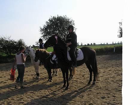 Anden særlig race Candy - 1 plads til springstævne (: hun kan godt men jeg tør ikke mere, der var en gang. billede 13