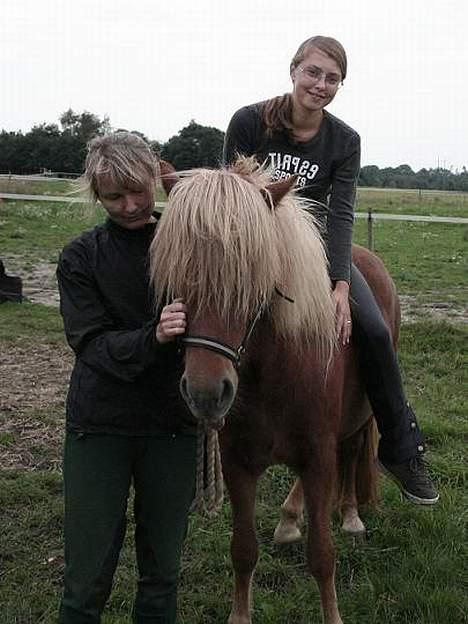 Islænder Tritla Fra Marcu... SOLGT - oppe og side på Tritla for første gang billede 20