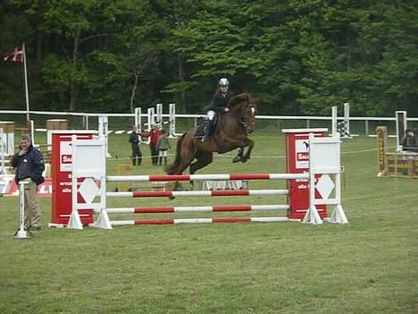 Dansk Varmblod Stagsteds Elaiza - Morsø 2006 billede 7
