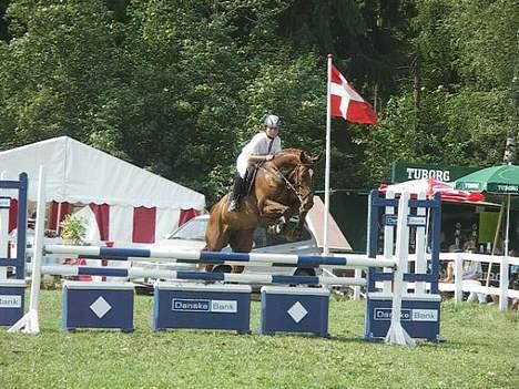 Dansk Varmblod Stagsteds Elaiza - Jysk Rideuge 2006 billede 9