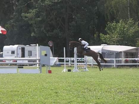 Dansk Varmblod Stagsteds Elaiza - Jysk Rideuge 2006 billede 10