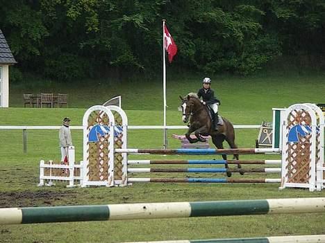 Hollandsk Varmblod Unexpected - LA spring Morsø 2006 billede 12