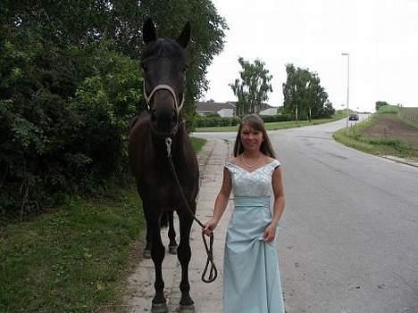 Dansk Varmblod Cornet Byhøj - Lige inden Galla fest på skolen, mig og smukke Cornet (: billede 4
