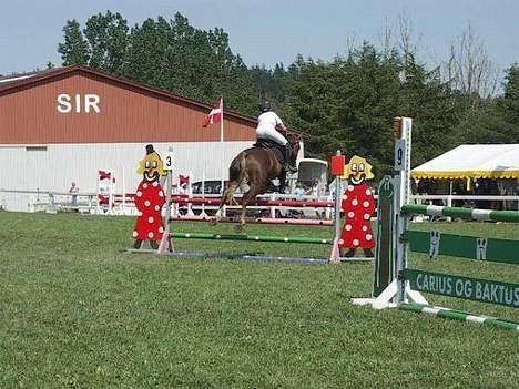 Hollandsk Varmblod Unexpected - LA spring Jysk rideuge 2006 billede 16