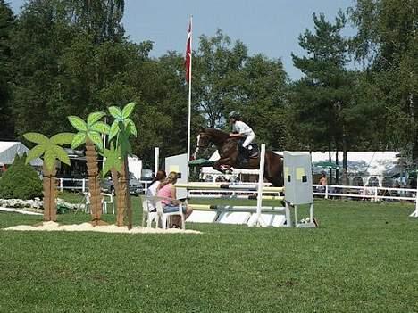 Hollandsk Varmblod Unexpected - LA spring Jysk rideuge 2006 billede 17