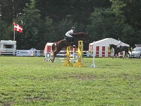 Hollandsk Varmblod Unexpected - LA spring Jysk rideuge 2006 billede 18