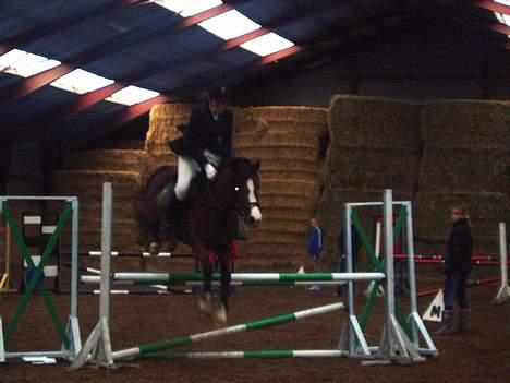 DSP Bæklunds Laredo (SOLGT) - Bæklund stævne. LB spring, Fik en 2 plads mere .  billede 13