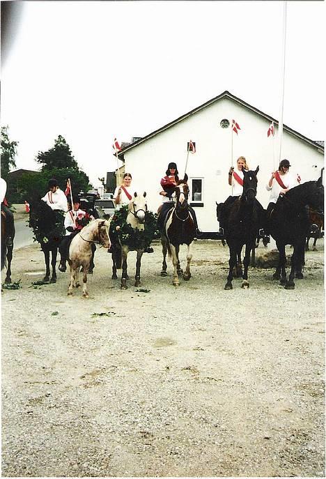 Anden særlig race Hans - Konge til det åbne ringridning i lejerskov 2002. billede 8