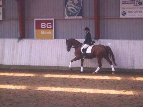 Hannoveraner White Star's Safir*R.I.P* - D-stævne d. 16. September 2006 - Safir & mig ;) billede 20