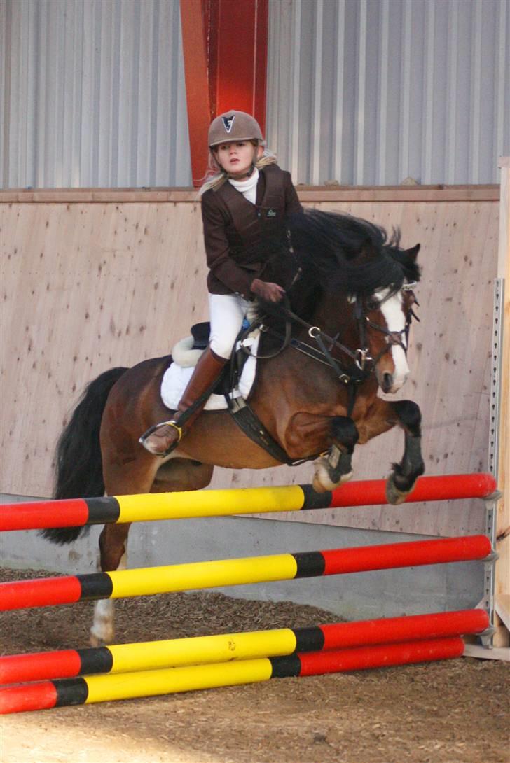 Irsk Sportspony Mr. Glen R.I.P. - Glen springer til klubmesteskabet Fotograf: kaytrin billede 13