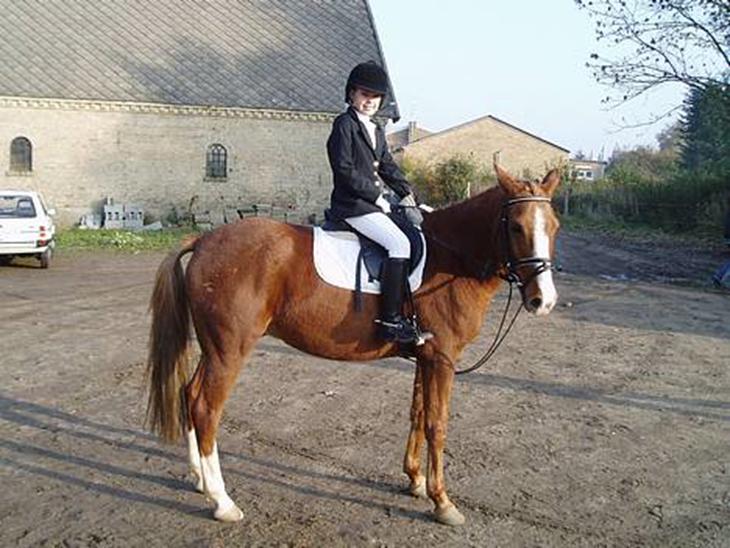 {{currentPhoto.altText}} billede {{currentPhoto.number}}