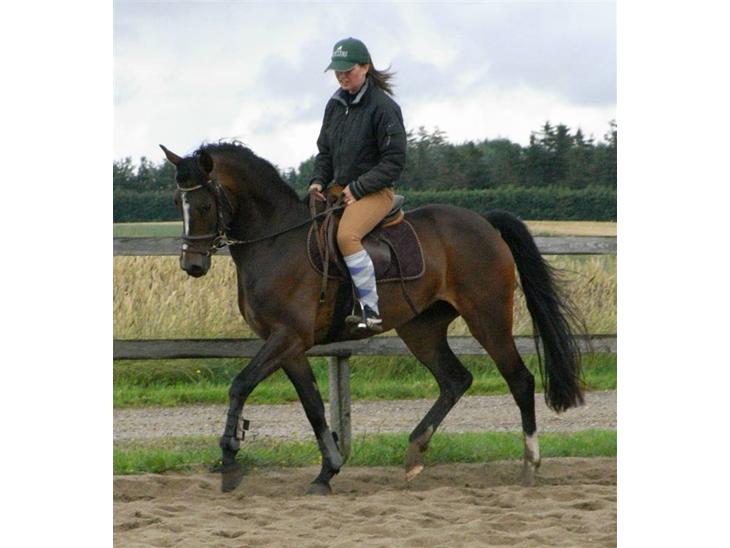 {{currentPhoto.altText}} billede {{currentPhoto.number}}