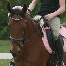 Anden særlig race Allgrea