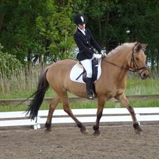 Anden særlig race Titan