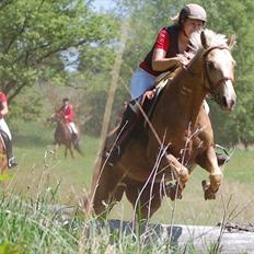Palomino Rudolph's Cheyenne