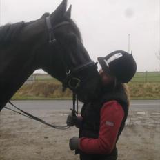 Anden særlig race Mosegaards El Diablo