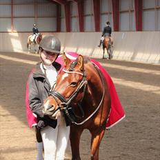 Anden særlig race Pingo