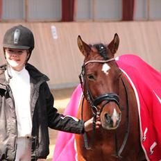 Anden særlig race Pingo