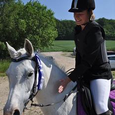 Anden særlig race Savannah