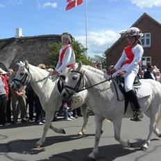 Welsh Pony (sec B) Apollon - polle <3 *SAVNES*