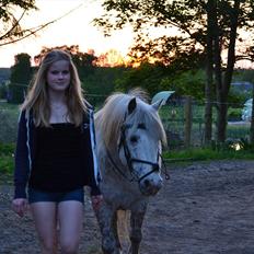 Knabstrupper Teglbrændergårdens Felix