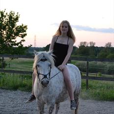 Knabstrupper Teglbrændergårdens Felix