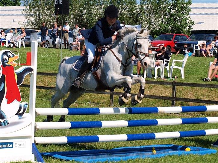 Welsh Partbred (Sec F) West Side Pride Poet - Polle og mig til distriktsmesterskaberne for hold 2012 pony. Foto: Annika Holm billede 5