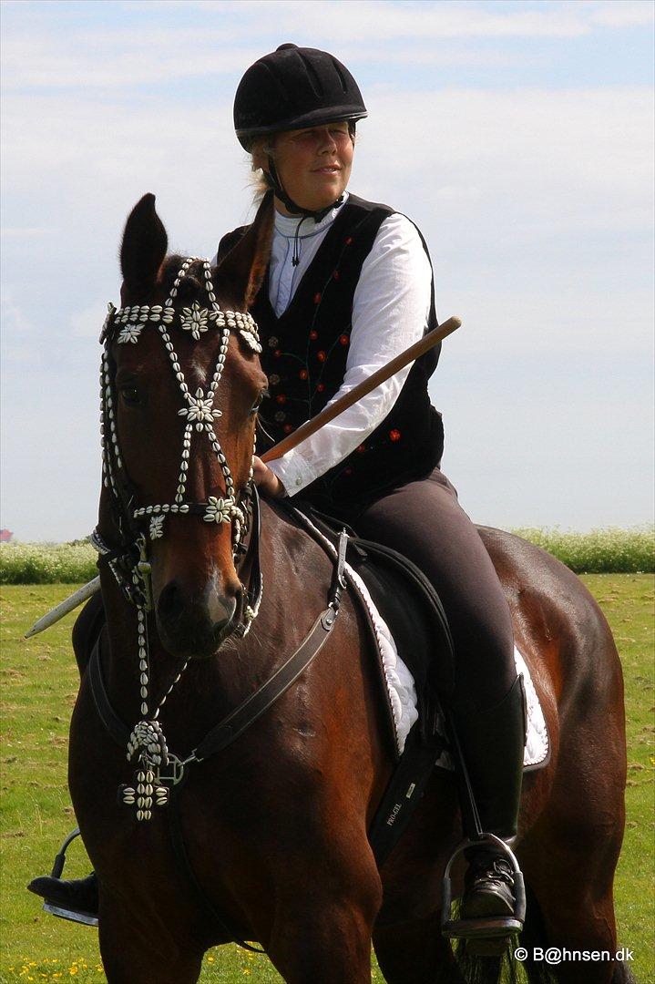 Oldenborg Lise Hessemosegård - ring ridning i dragør..
har ret til billeder billede 15