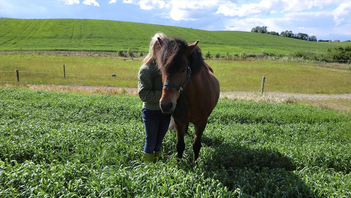 Islænder Kjartan fra Laven billede 4