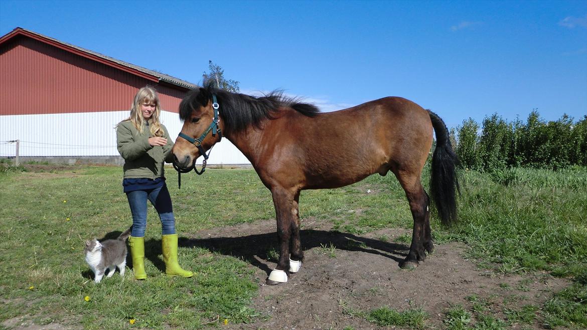 Islænder Kjartan fra Laven billede 5