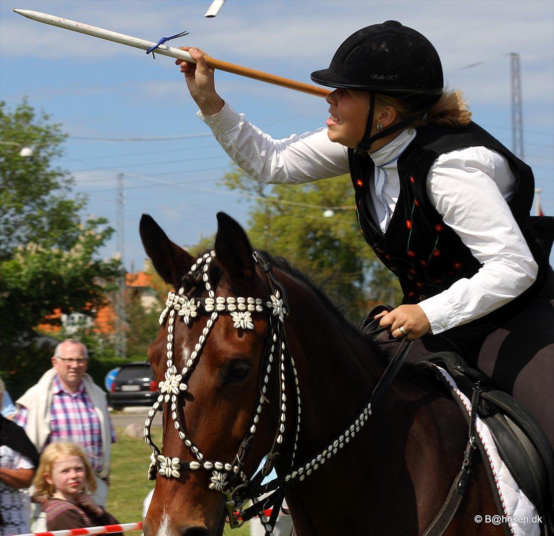 Oldenborg Lise Hessemosegård - ring ridning i dragør .
har ret til billeder billede 1