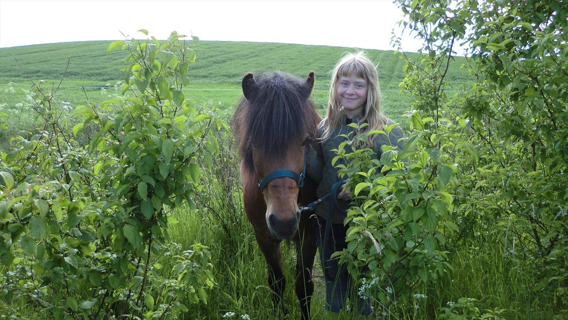 Islænder Kjartan fra Laven billede 6