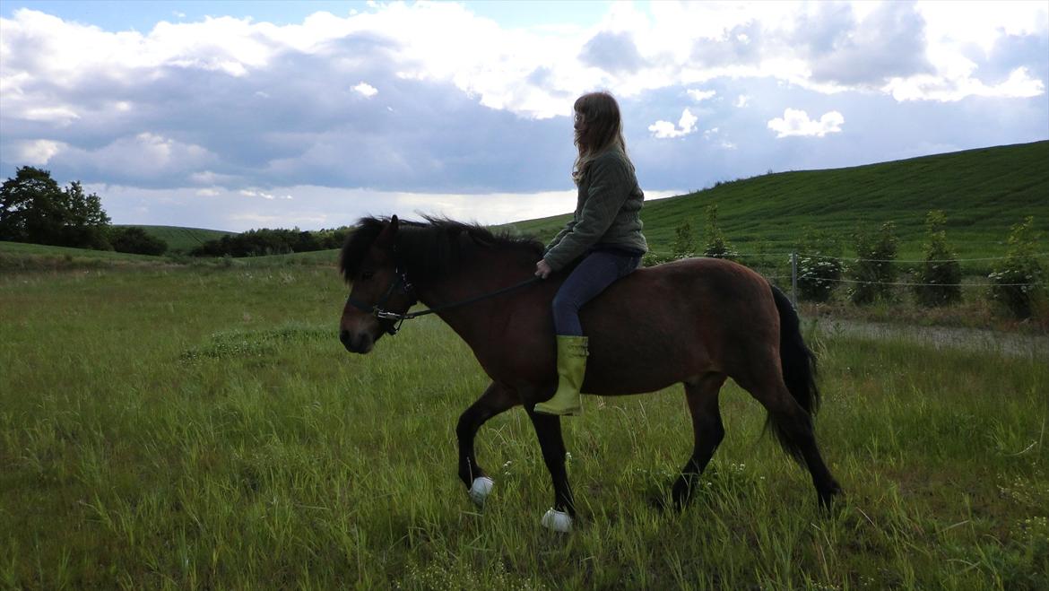 Islænder Kjartan fra Laven billede 9