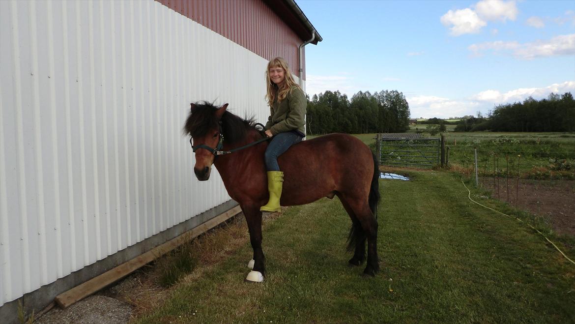Islænder Kjartan fra Laven billede 10