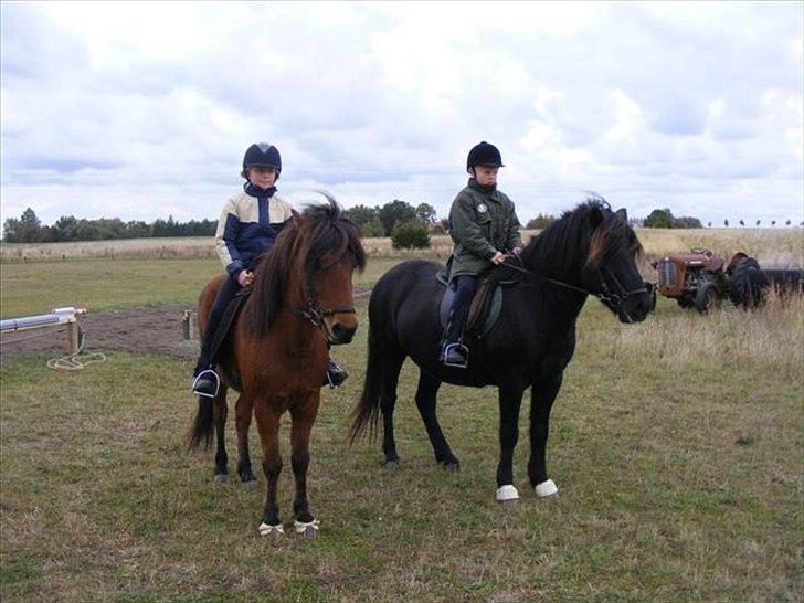 Islænder Kjartan fra Laven - Mig og men bedste ven Camilla billede 13