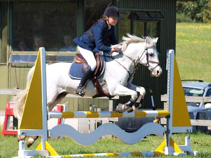 Welsh Partbred (Sec F) West Side Pride Poet - Distriksmesterskab 2012 for hold pony. Foto: Annika Holm billede 8