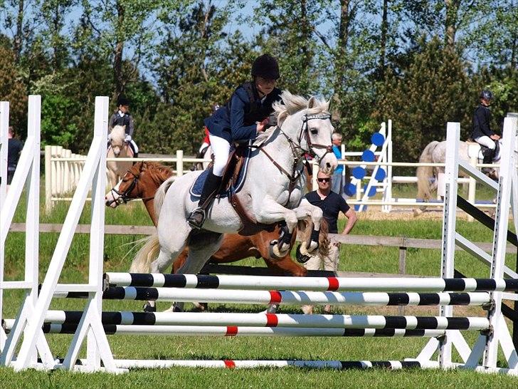 Welsh Partbred (Sec F) West Side Pride Poet - På vej over tripelbar til distriksmasterskabet for hold 2012 Pony. Foto: Annika Holm billede 9