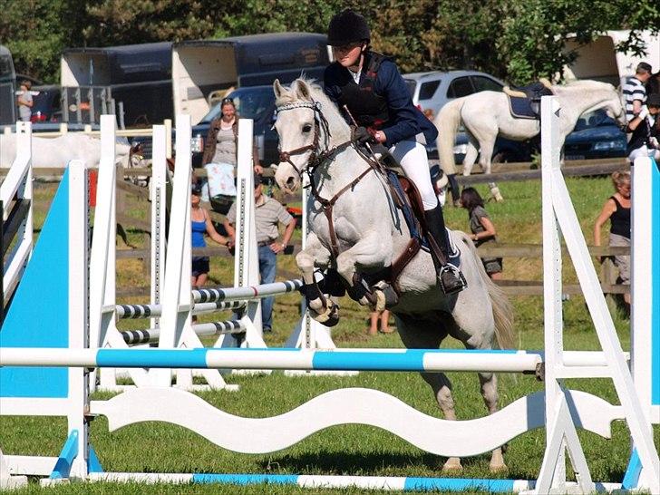 Welsh Partbred (Sec F) West Side Pride Poet - Vi er to, men svæver som én <3 <3
Foto: Annika Holm  billede 2