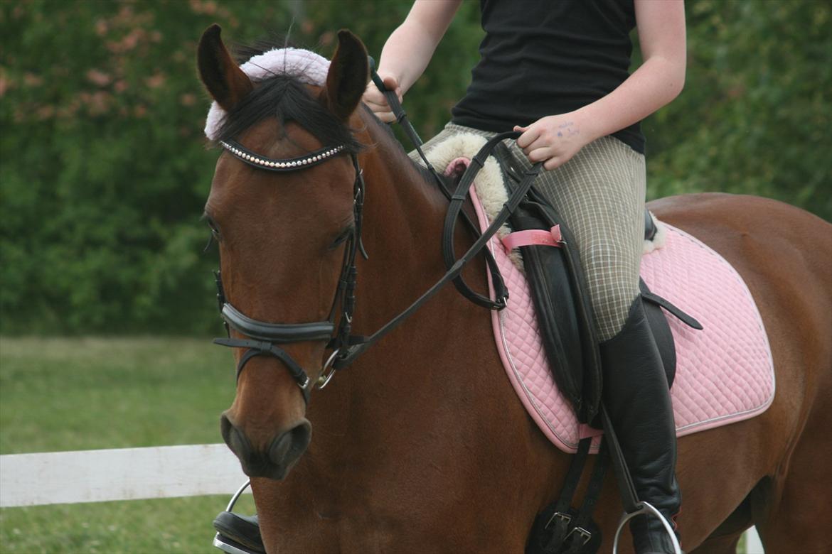 Anden særlig race Allgrea - En hest som dig findes der ikke andre af - for du er noget helt særligt :-* billede 2