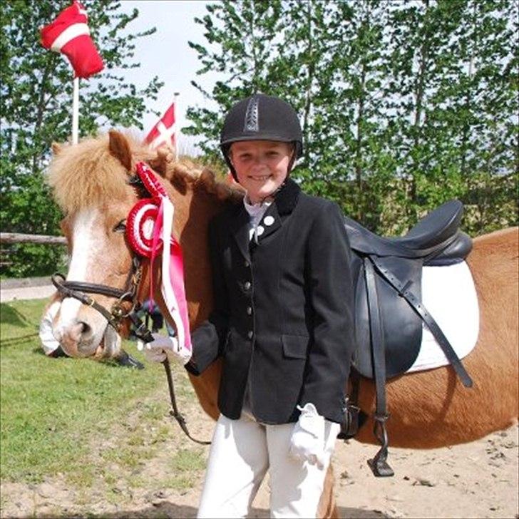 Islænder Glossi billede 2