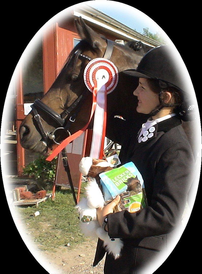 DSP * Zhantee Stjernen<3! * - (3) If a friend asked me :'' What is love for you?''. I will answered: '' Zhantee''<3

1 afd. af Famland cuppen dressur 2012... 1 plads i LA%  Smukke pony! billede 3