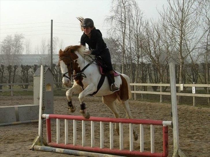 Pinto Freja - 7) Jeg nåede mit mål på dg! og det var at kunne få dig til at springe lige meget hvad!!!<3 billede 7