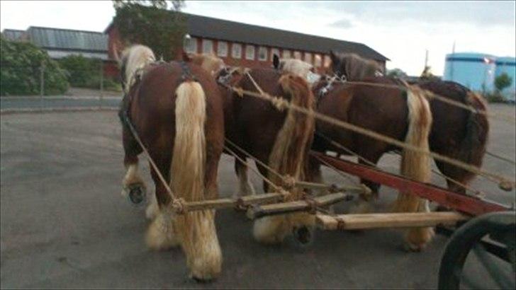 Jyde Holger - 4 gode røve !! :-D billede 17