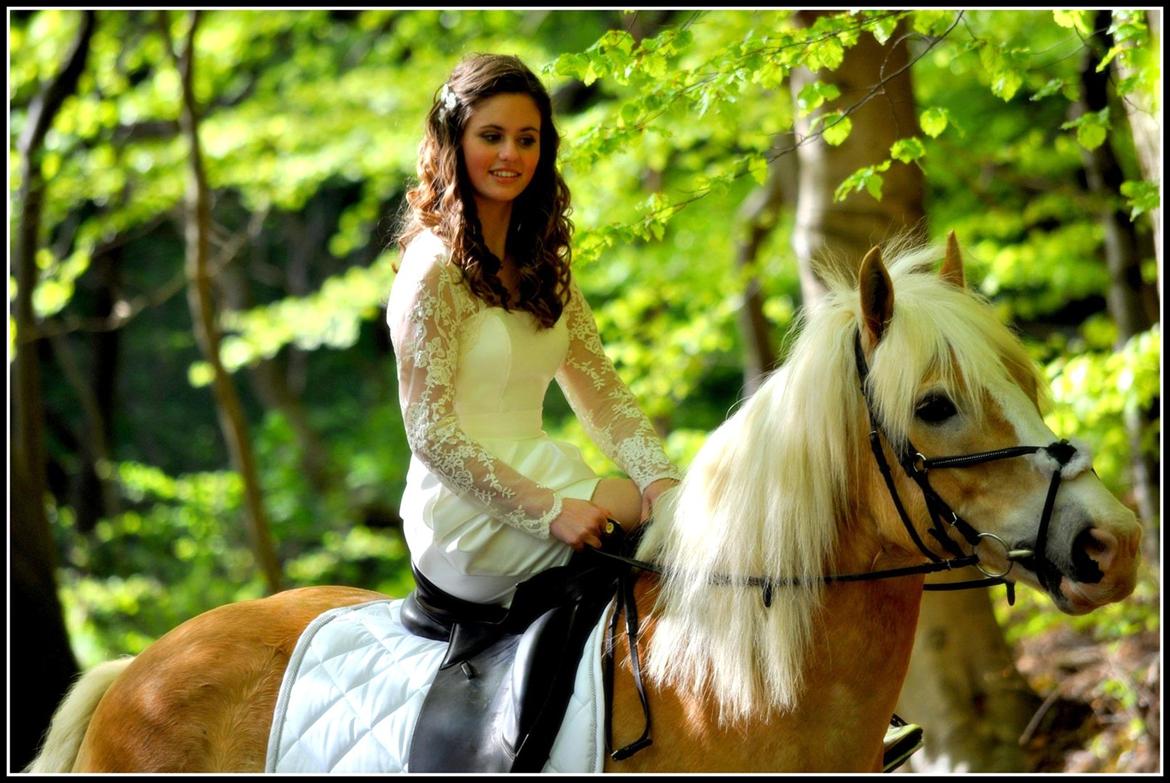 Haflinger Jupiter's bonanza <3 - Dette billed lå også på facebook det der den smukkeste konfirmand 2012, jeg lå aom nummer to med over 2000 liks :D Elsker det her billed<33
Foto: Far  billede 14